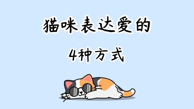 猫咪“表达爱”的4种方式,你get到了吗?