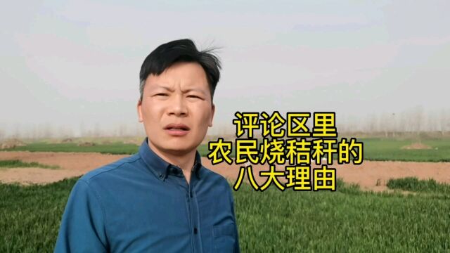 农民烧秸秆的八大理由,你支持吗?