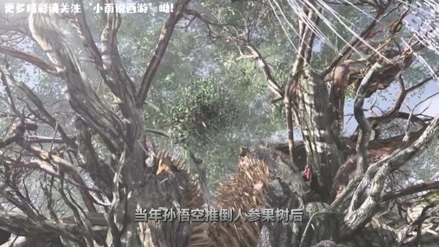 太乙散仙需要渡过三灾利害,大罗金仙又需要渡什么劫?少有人知!