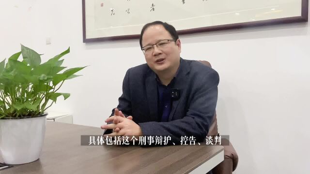 奉长人物 | 极致践行,行稳致远——陈宏毅律师专访