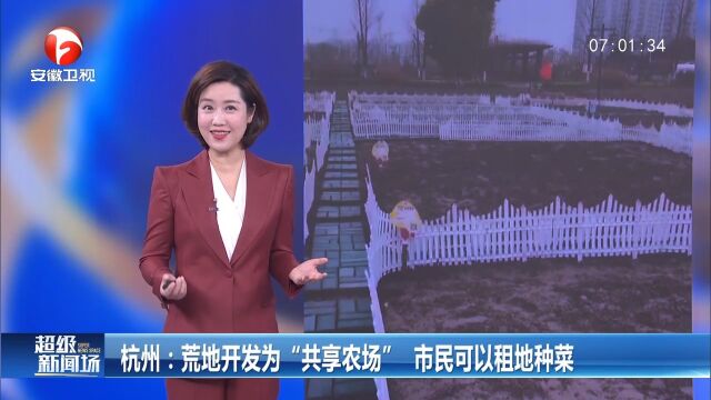 杭州:他们将荒地开发为“共享农场”,市民可租地种菜