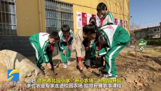 德州:农业专家进校园 “开心农场”种植园快乐开园