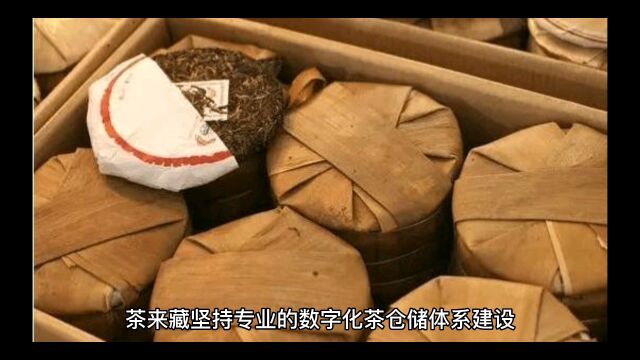 让“不懂”茶的人也能放心存好茶,如何科学专业的贮藏茶叶