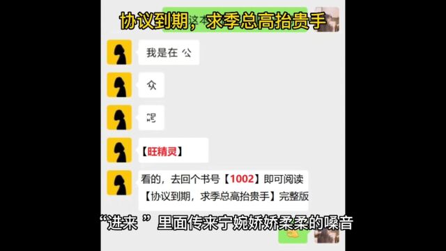 【热文】《协议到期,求季总高抬贵手》舒晚季司寒