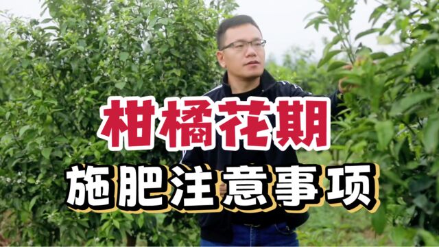 柑橘花期如何施肥?