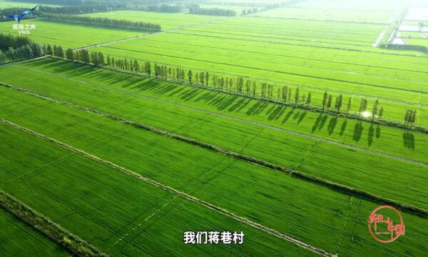 【听见中国・苏州】智慧“桃花源”