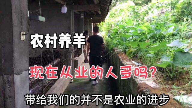 现在农村从业养羊的现状,又将面临怎样的问题?