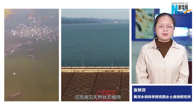 世界水日|九曲黄河向东走,隐藏着多少秘密?