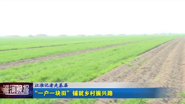 “一户一块田”铺就乡村振兴路