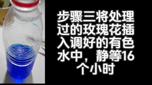 八(7)班黄子倩