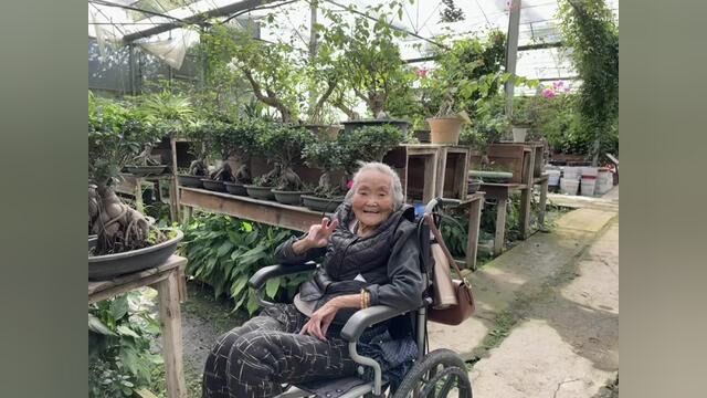 抓住国庆的小尾巴带奶奶去亳州市植物科普园玩玩 奶奶好开心呀#老小孩 #隔辈亲