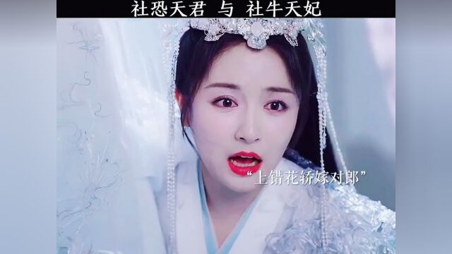 社恐天君 与 社牛天妃