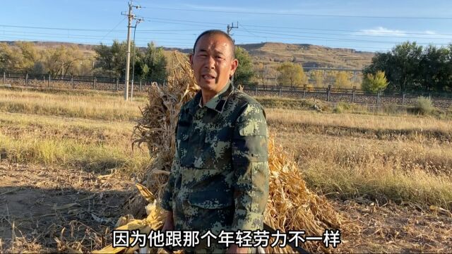 工农商学兵,这位铁路职工就差一课,深入内蒙古山区帮老人收玉米