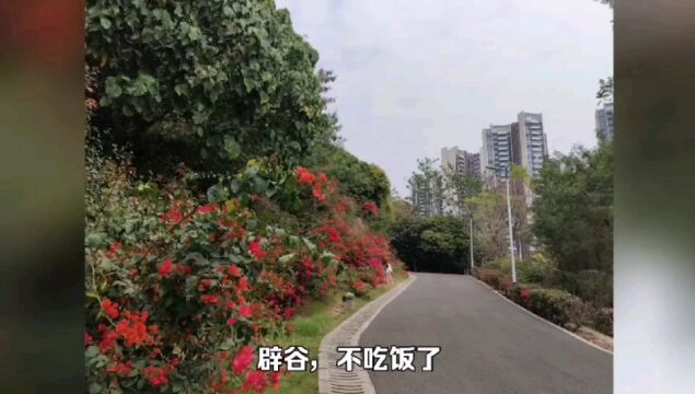 如何做到辟谷减肥不反弹?