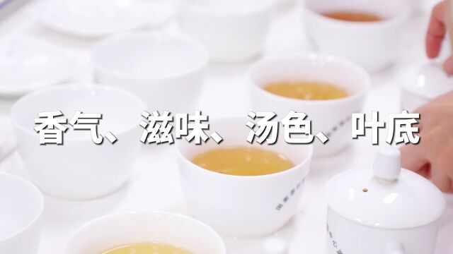 哪些因素影响茶叶的品质口感和安全性?茶叶检验的终极指南