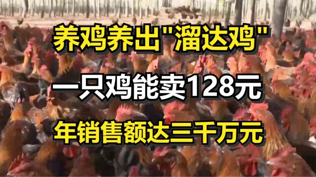 养鸡养出“溜达鸡”,一只鸡能卖128元,年销售额达三千万元!