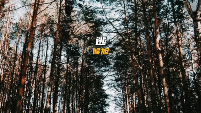 候旭的一首《逃》,句句透着无奈,太好听了!