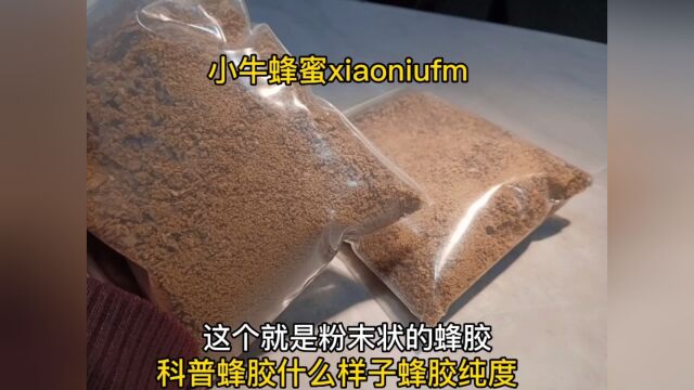 蜂胶原胶泡酒喝蜂胶提纯纯度蜂胶怎么吃食用方法效果好处有哪些 #蜂胶 #蜂王浆 #蜂蜜 蜂花粉关注小牛蜂蜜带你了解更多蜂知识蜂胶的作用与功效蜂胶的吃...