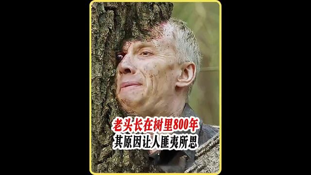 老头长在树里800年