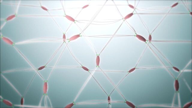 Skin Anti Aging  Fibroblast and Collagen Network Regeneration CGI animation