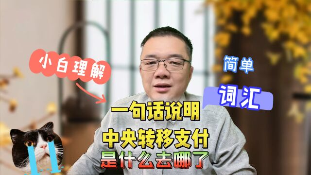 中央转移支付是什么?去哪了?