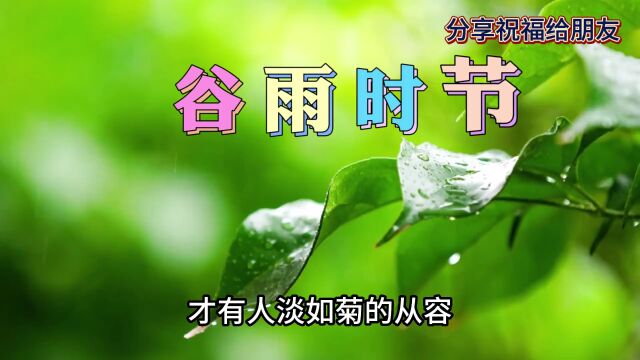 谷雨节气祝福语视频问候语短句