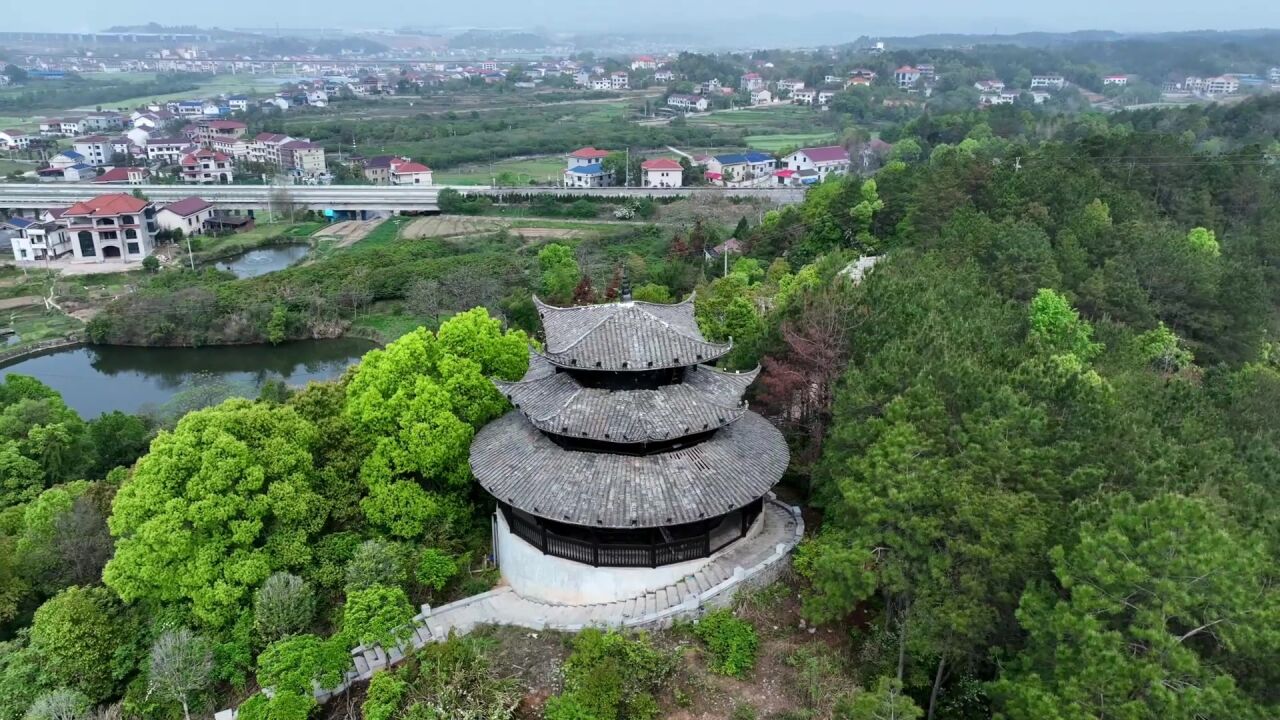 视频|春满中阳绿满村