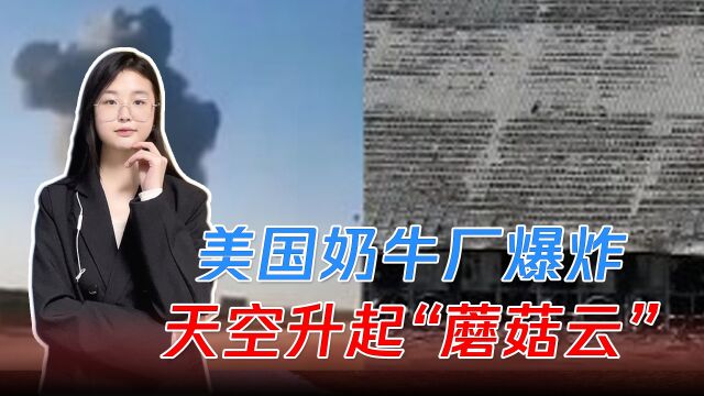 美国奶牛厂爆炸,天空升起“蘑菇云”,1.8万头奶牛当场被炸死