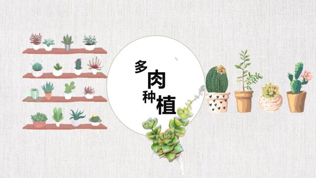 多肉种植活动