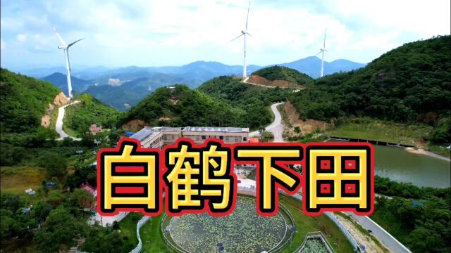 刘氏白鹤下田#柏木塘风景#那关坡集福堂