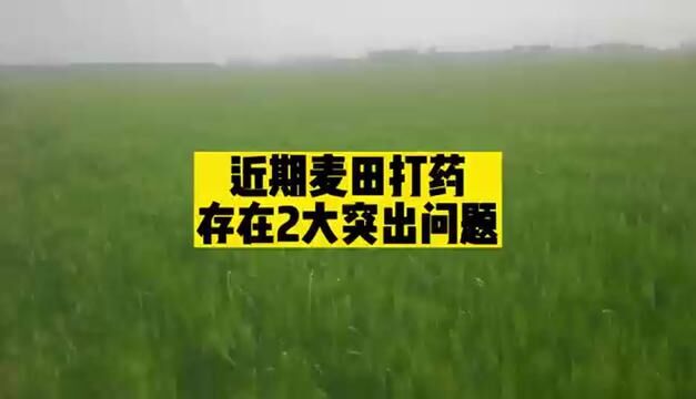 #小麦种植管理技术 #农业技术推广 #农业人话农业