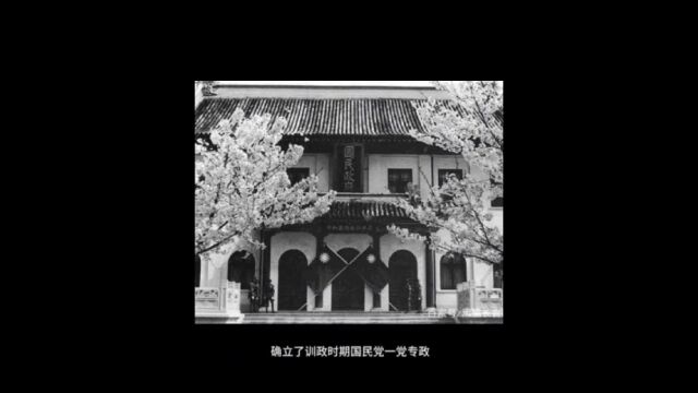 1928年国民党《训政纲领》