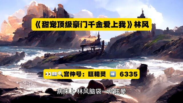 《甜宠顶级豪门千金爱上我》林风小说全文TXT阅读◇最新章节