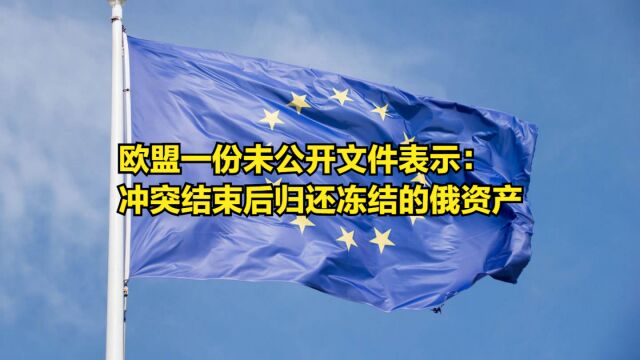 欧盟转向了?一份未公开文件表示:冲突结束后归还冻结的俄资产