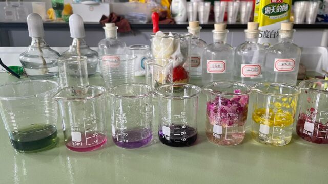 初中化学实验《自制酸碱指示剂》