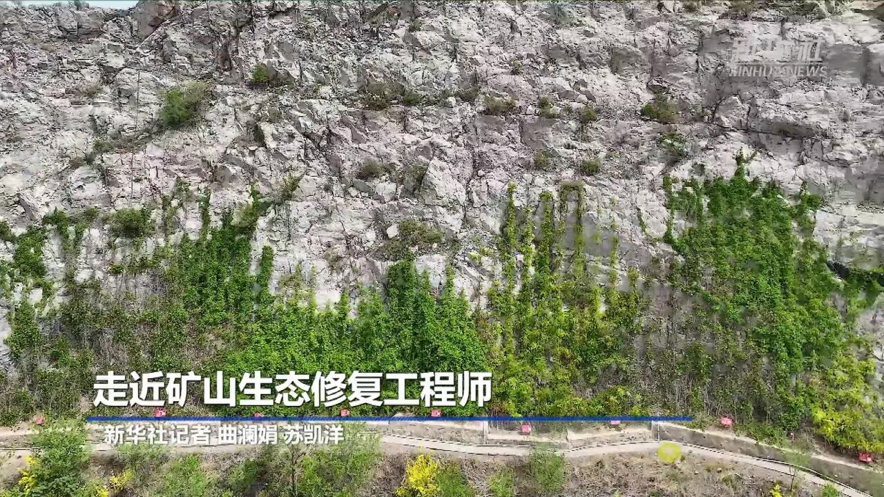 走近矿山生态修复工程师