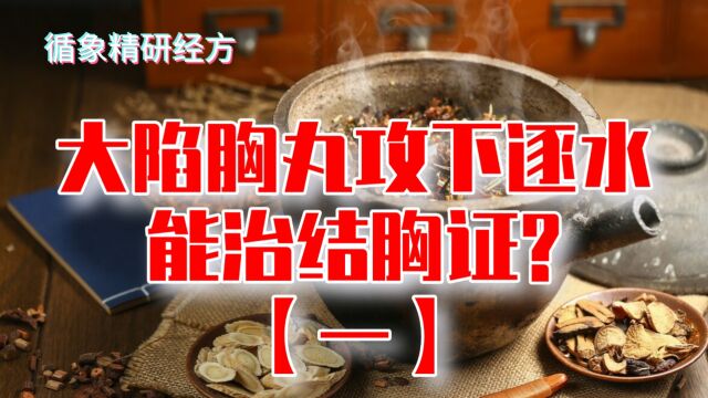 如何看待大陷胸丸攻下逐水?是否能治结胸证?(1)