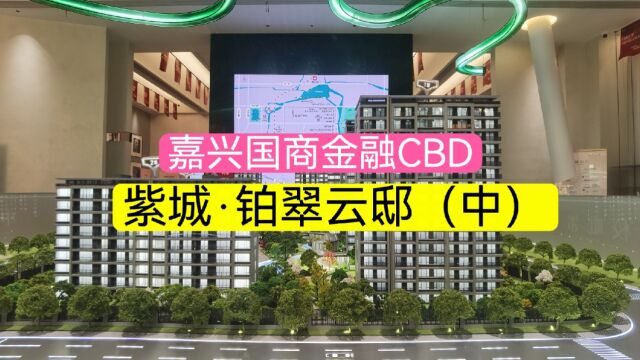 嘉兴市国商金融CBD板块儿两个新盘怎么选?铂翠云邸的户型有亮点吗