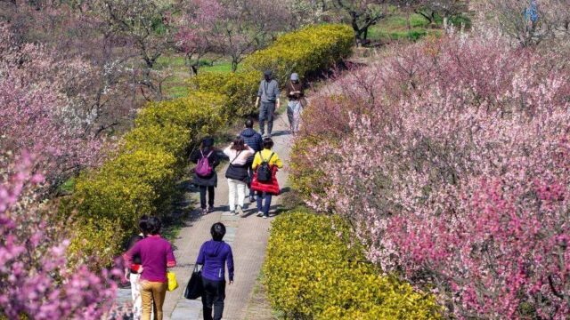 北京今天最高气温17℃,早晨体感较冷,请及时添加衣物