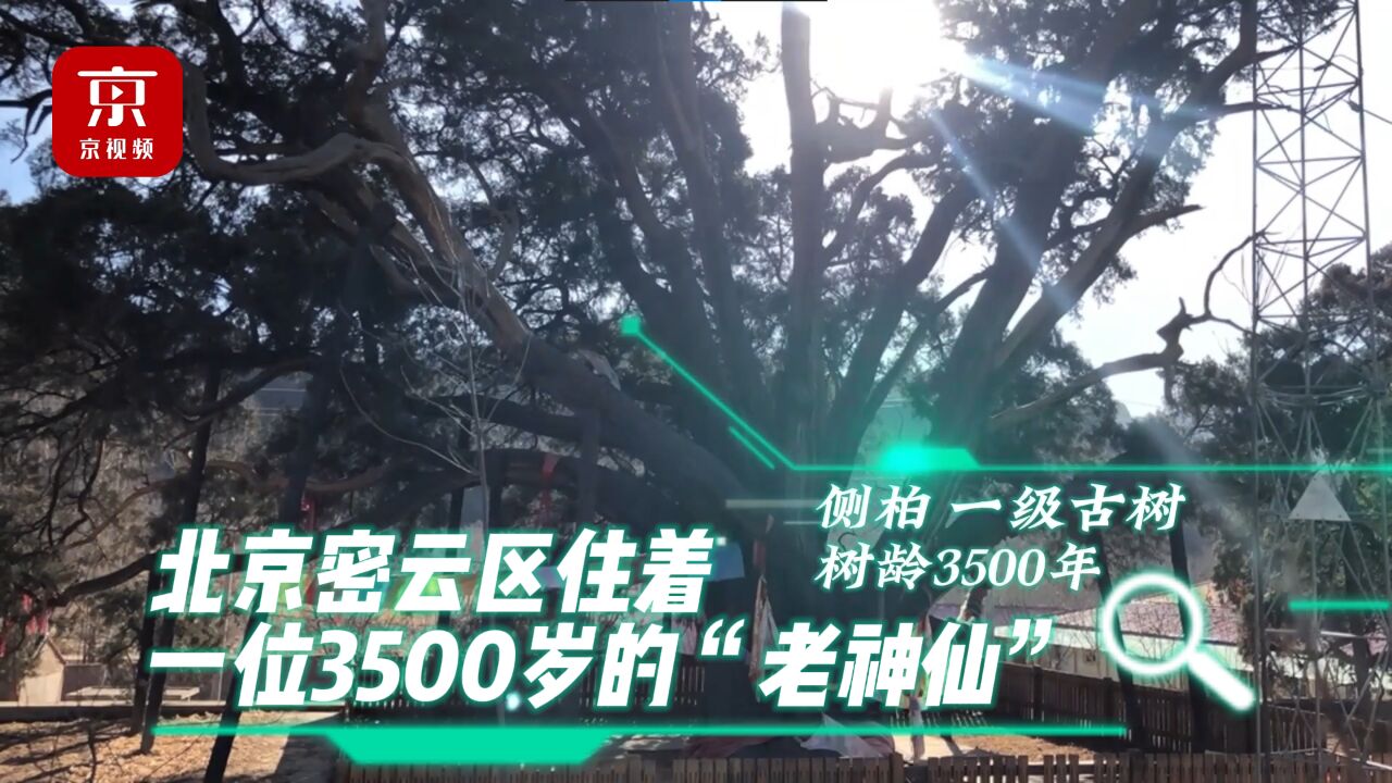 北京密云区住着一位3500岁的“老神仙”