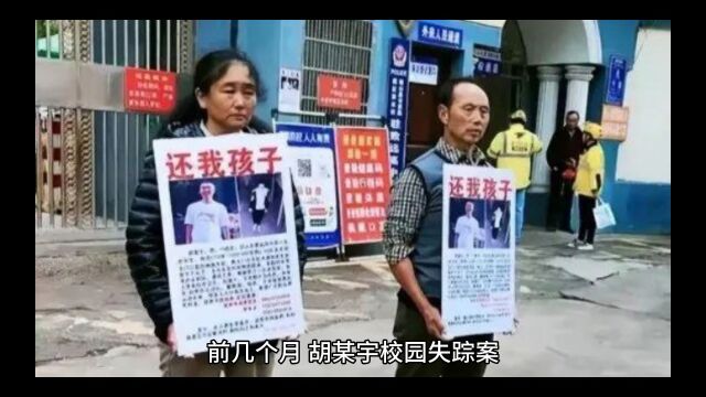 陈明贵因自媒体恶意炒作胡某宇事件被公诉,大快人心