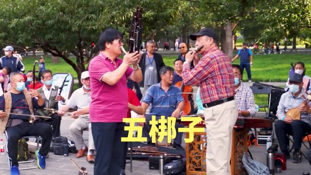 笛子与笙合奏北方名曲《五梆子》,北京天坛琴之声民乐队伴奏