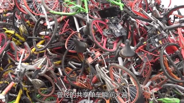 曾经的“共享单车”火遍全国,为何被丢弃的单车,如今无人问津?