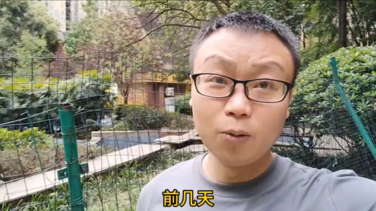 成都即将放开对单身人士的限购政策?不要想太多,他们拉不起楼市!