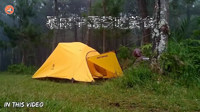 独自一人在野外雷雨中搭建帐篷,在帐篷里野炊吃美食.享受一个人的沉浸式露营