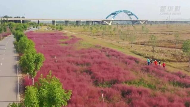 你早,河北|石家庄地铁5号线可否北移;二十届中央第二轮巡视紧盯谁;央行行长释放哪些信号;海漄是谁