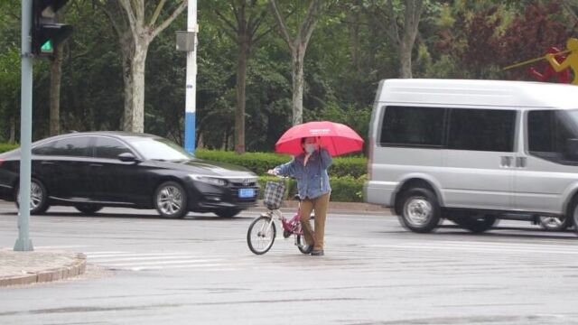 东营市迎来大风降雨天气