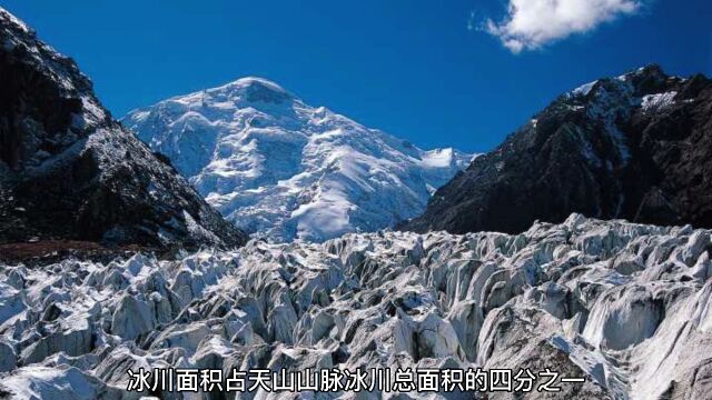 今日景点推荐:托木尔峰,拥有独特的雪山风光,终年白雪皑皑.