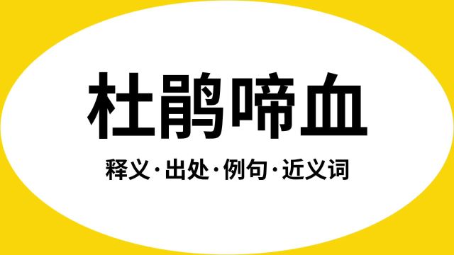 “杜鹃啼血”是什么意思?