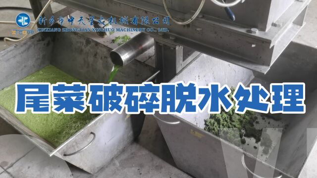 尾菜脱水处理客户试机尾菜脱水机螺旋压榨机果蔬垃圾脱水机农贸市场果蔬垃圾菜市场湿垃圾脱水处理设备螺旋脱水机